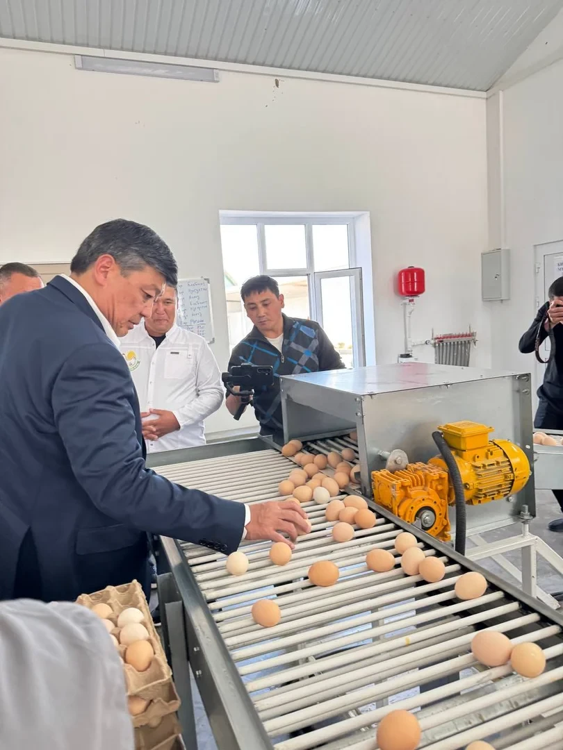 Торобаев ознакомился с деятельностью крупной птицефабрики в Базар-Коргоне