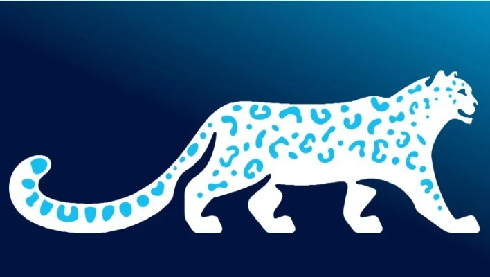 Кабмин утвердил логотип и порядок использования национального символа КР - снежного барса