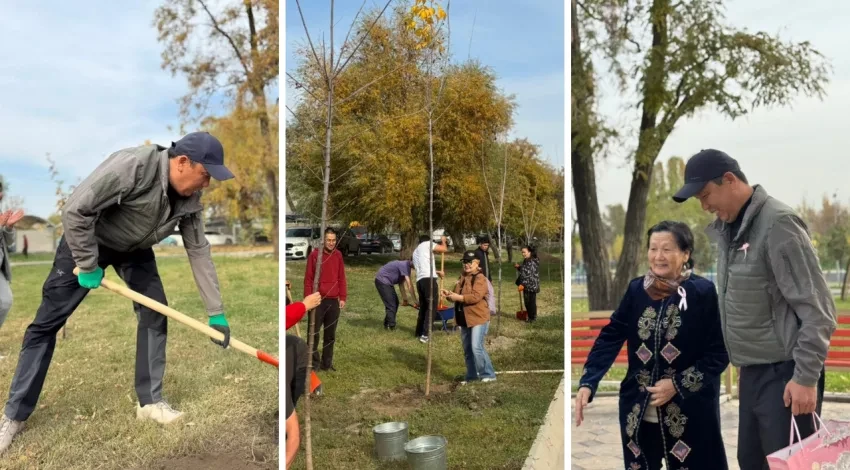 В Бишкеке высадили «Аллею жизни»: более 100 деревьев как символ победы над раком