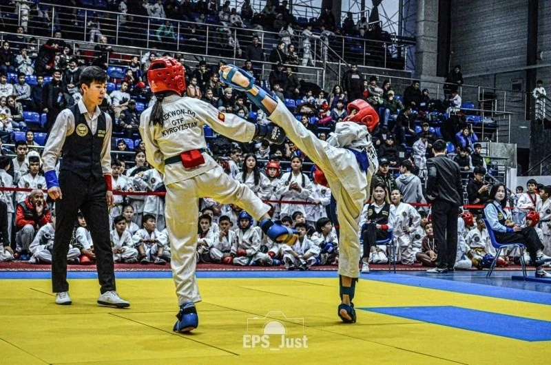 Кыргызстанские таэквондисты выступят на чемпионате мира в Корее