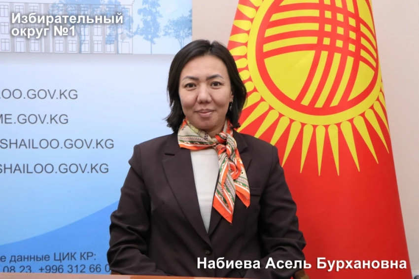 Избирательный округ №1 на досрочных выборах в Жогорку Кенеш. Список выдвиженцев