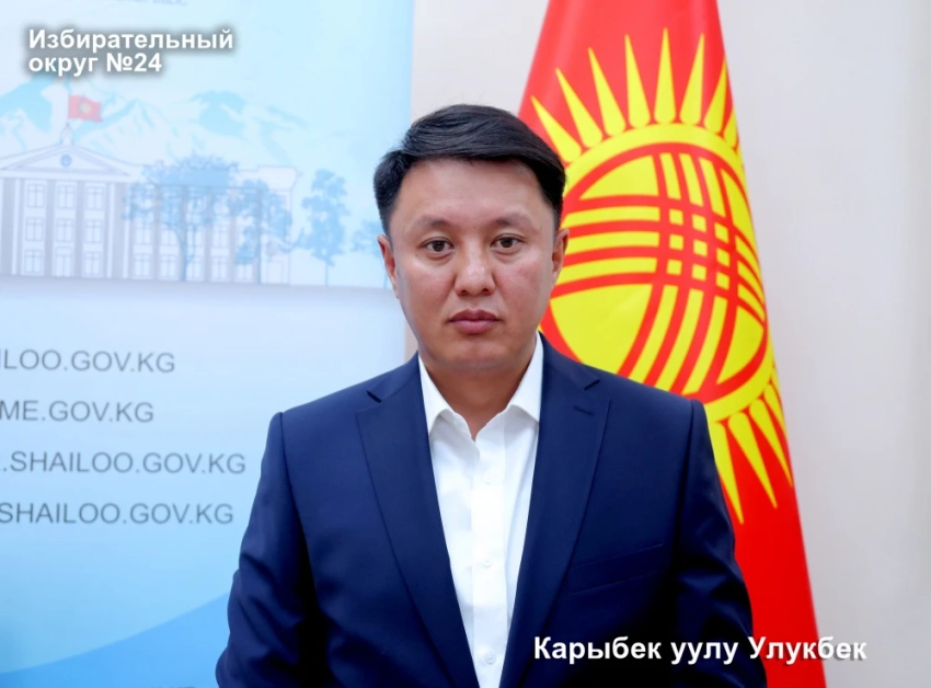 Избирательный округ №24 на досрочных выборах в Жогорку Кенеш. Список выдвиженцев
