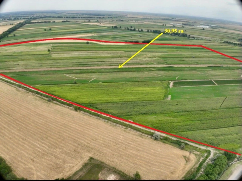 В Сокулукском районе государству возвращены почти 800 гектаров земель