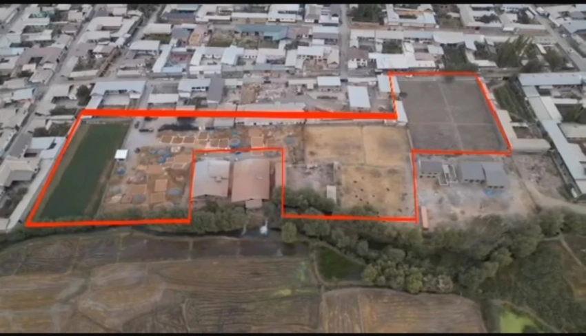 Скотный рынок в Узгене стал государственным