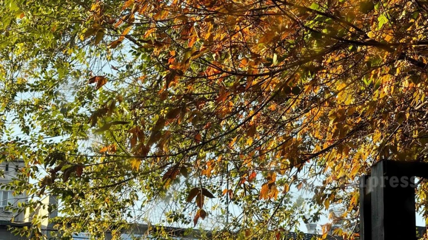 Неделя в Узбекистане будет солнечной и очень тёплой