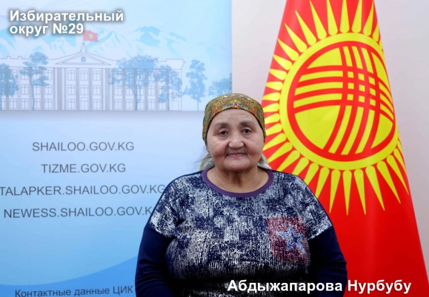 Избирательный округ №29 на досрочных выборах в Жогорку Кенеш. Список выдвиженцев