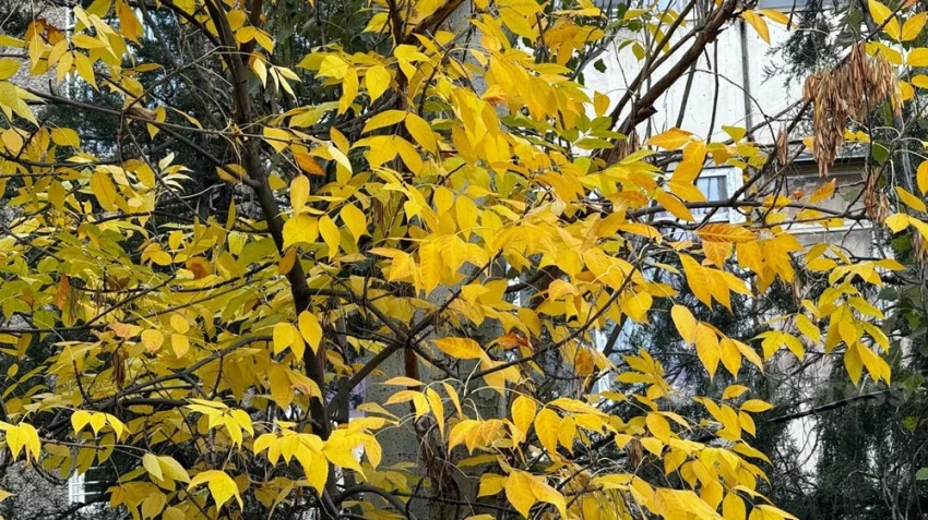 Погода без осадков сохранится в Казахстане в ближайшие дни