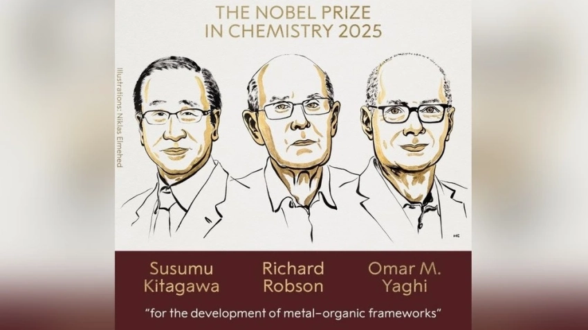 Нобелевскую премию по химии дали «за разработку металлоорганических каркасных структур»