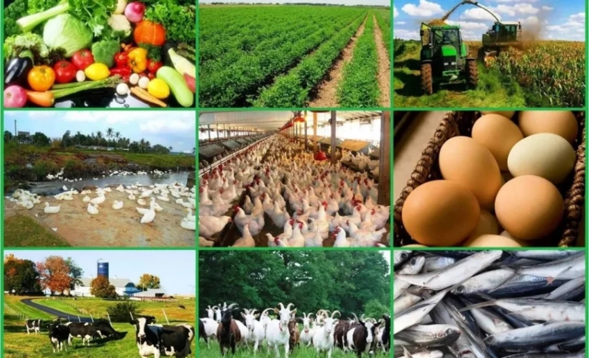 АБР выделил 40 млн долларов на поддержку агросектора Кыргызстана