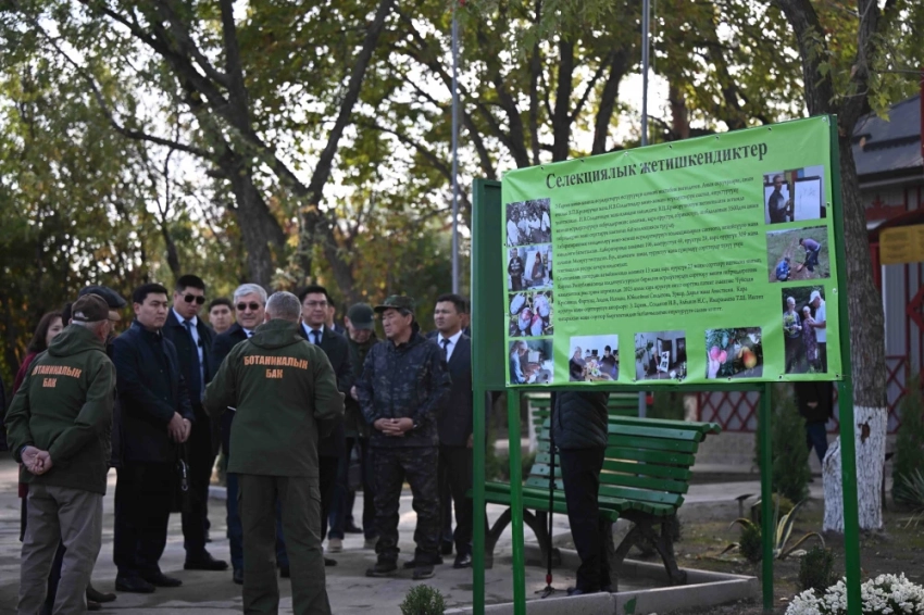 На восстановление Ботанического сада им. Э. Гареева в Бишкеке нужно 340 млн сомов