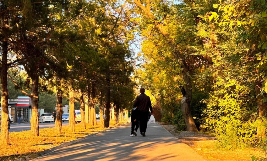 Комфортная осень в Бишкеке: солнечно и тепло – прогноз