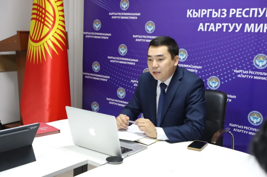 В Кыргызстане стартовало исследование по проблеме насилия в образовательной среде