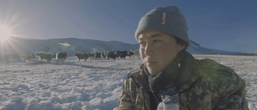 Документальный фильм из Кыргызстана о женщине-фермере получил премию международного кинофестиваля