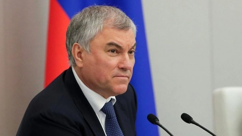 Володин: за восемь месяцев из России выдворили 35 тысяч мигрантов