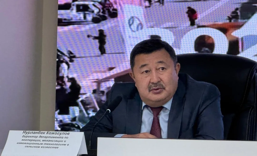 Аграрный сектор Кыргызстана демонстрирует устойчивый рост