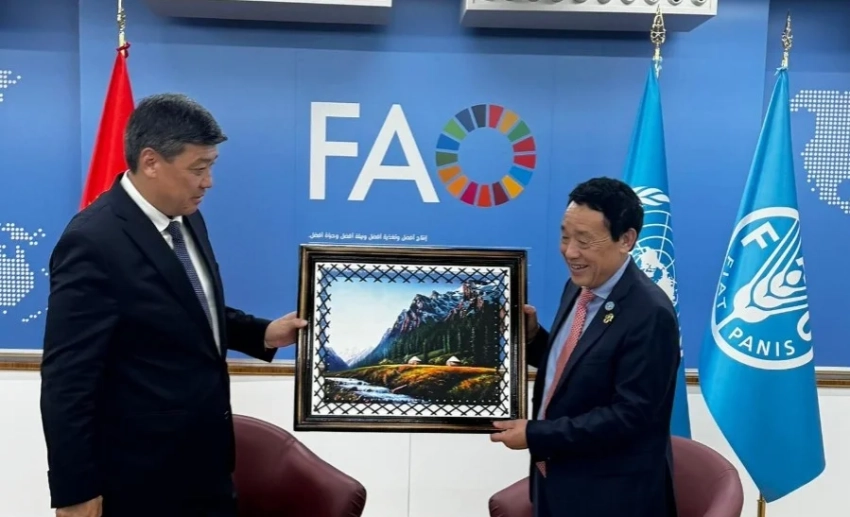 Кыргызстан заручился поддержкой ФАО для укрепления продовольственной безопасности