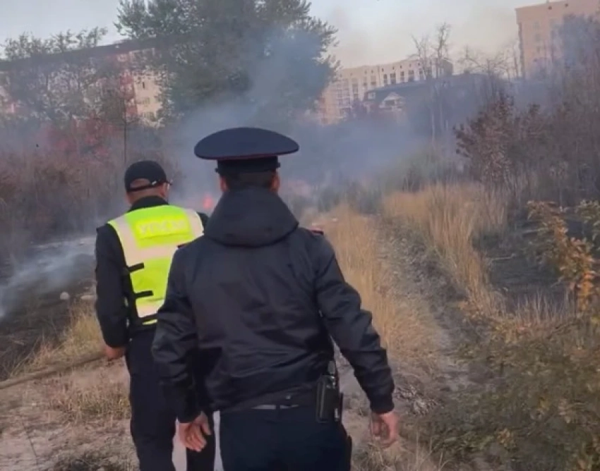 В Ботаническом саду в Бишкеке произошел пожар