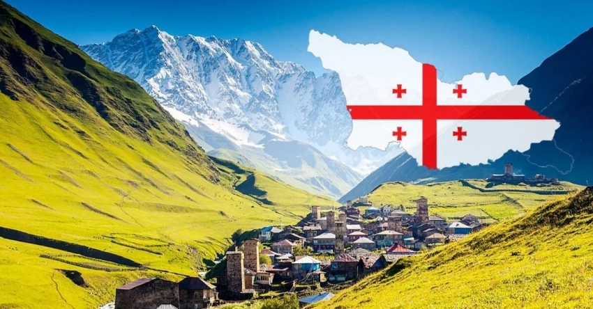 Грузия оштрафовала министра иностранных дел Финляндии за участие в митинге