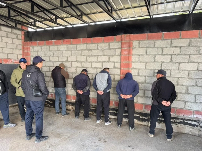 Задержана преступная группа, организовавшая контрабанду скота в Таджикистан