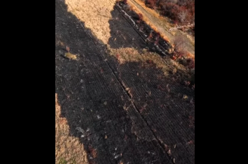 Выжженная пустошь – так с высоты выглядит Ботсад в Бишкеке после пожара