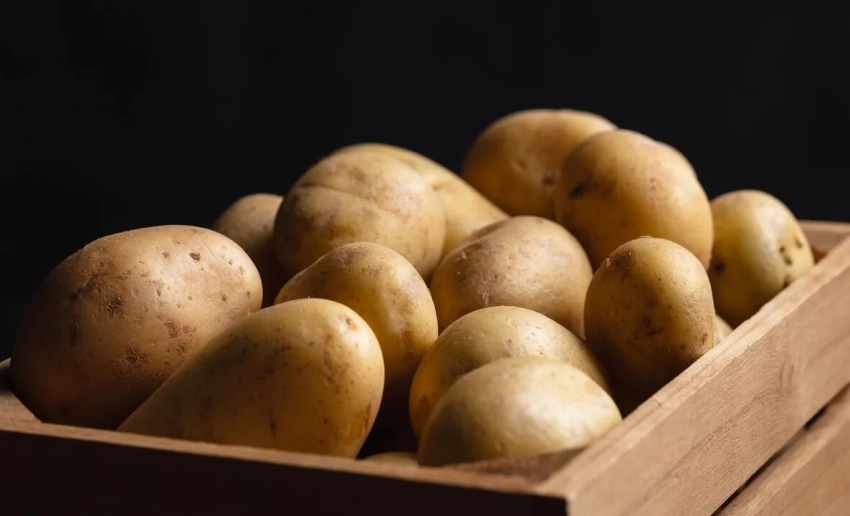 Партия картофеля из Китая не прошла фитосанитарный контроль