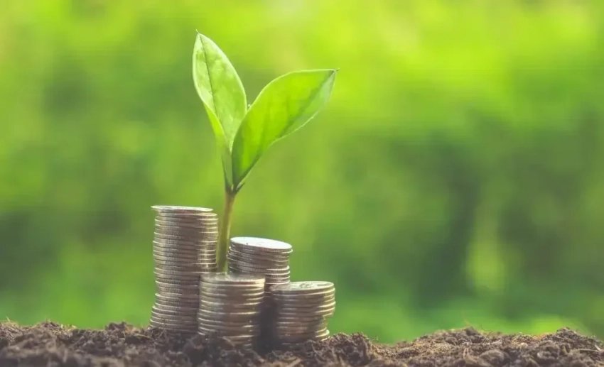 На развитие семеноводства выделено 2,85 млн сомов льготных кредитов