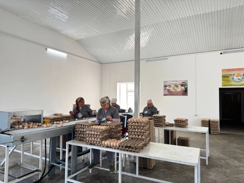 Торобаев ознакомился с деятельностью крупной птицефабрики в Базар-Коргоне