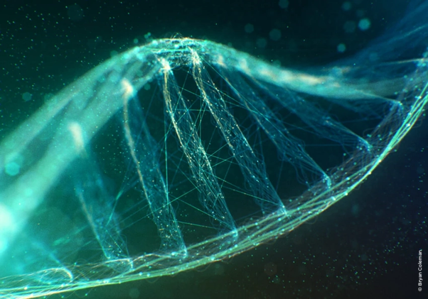 Учёные провели исследование ДНК населения Узбекистана для создания генетической карты страны