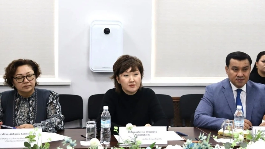 Акыйкатчы КР и представители ООН обсудили вопрос возврата смертной казни