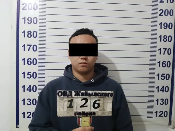 В Чуйской области задержан дроппер