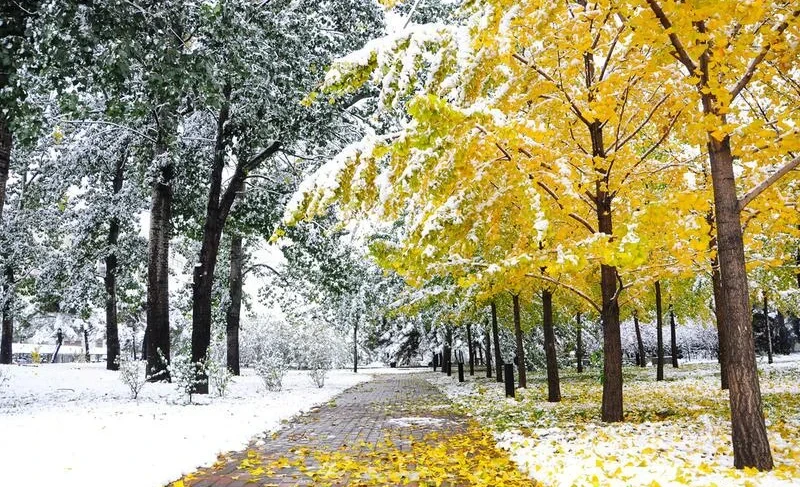 В Бишкеке потеплеет до +14° - прогноз до 12 ноября