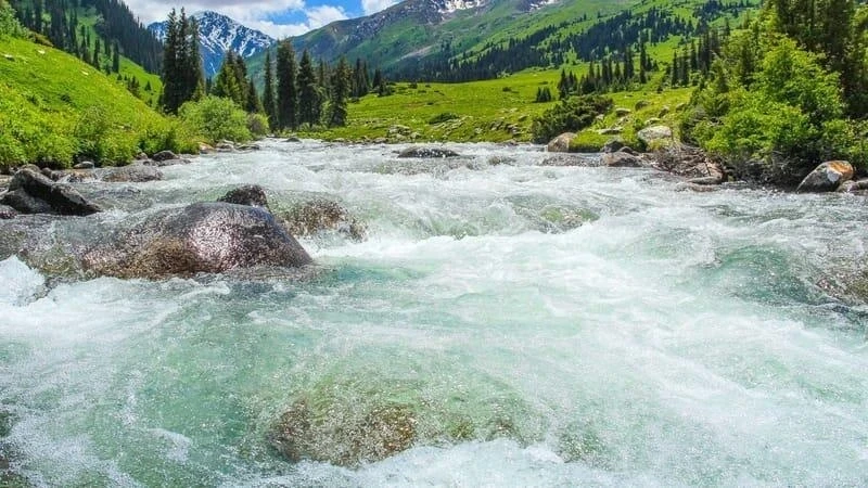 В Тонском районе установлены рыбные "верши" и "шандоры"