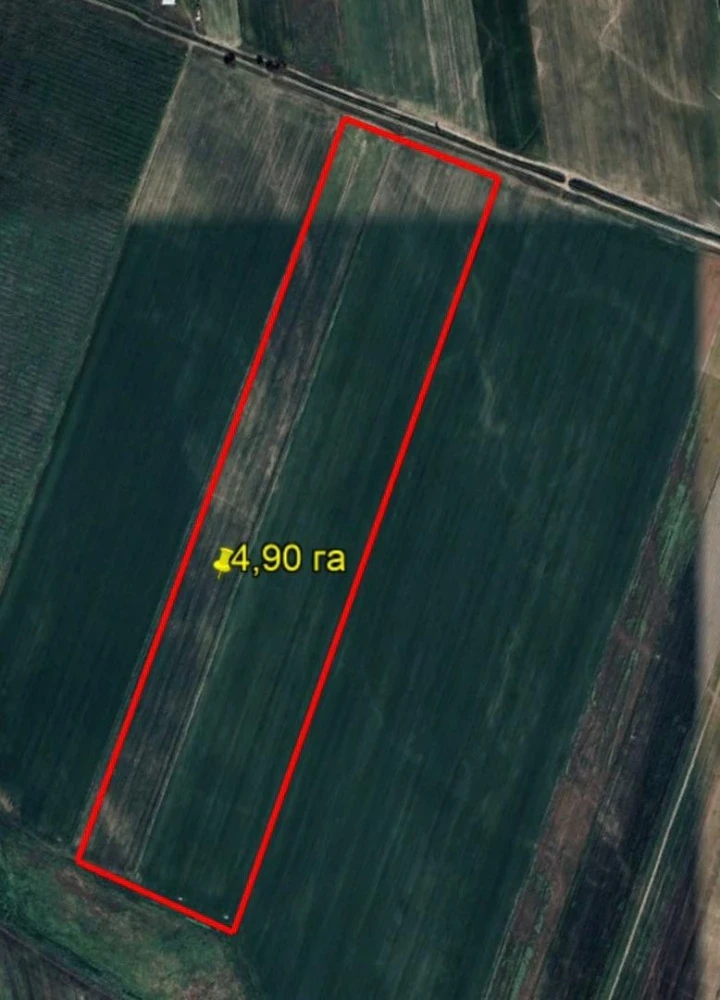 В Ысык-Атинском районе нашли земли, связанные с ОПГ Кольбаева