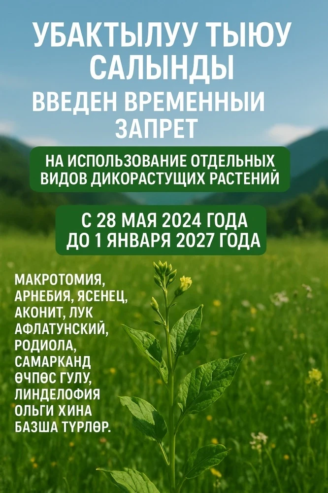 Минприроды приостановило выдачу разрешений на заготовку некоторых растений