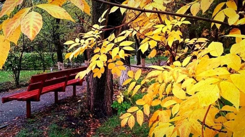 Выходные по Узбекистану будут очень тёплыми