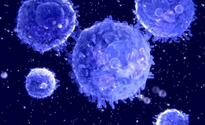 Раскрыт мощный механизм длительной защиты от вирусов