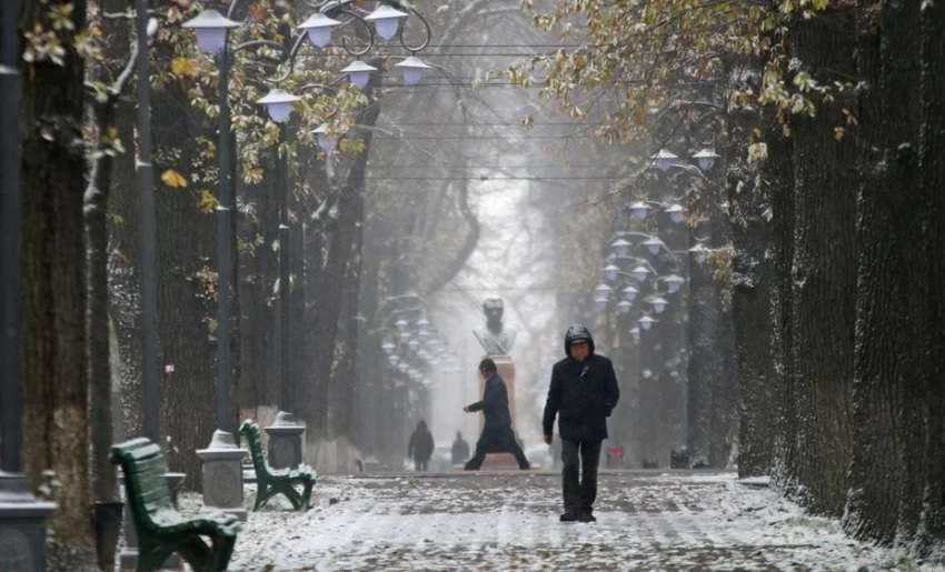 Подготовка к зиме: запаслись ли вы углем и сменили ли шины?