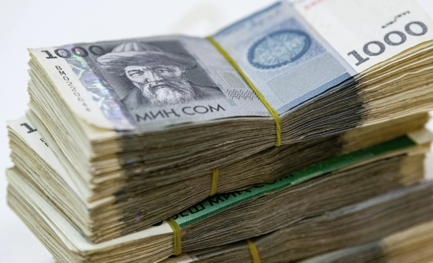 Фонды развития регионов направили свыше 900 млн сомов на поддержку проектов