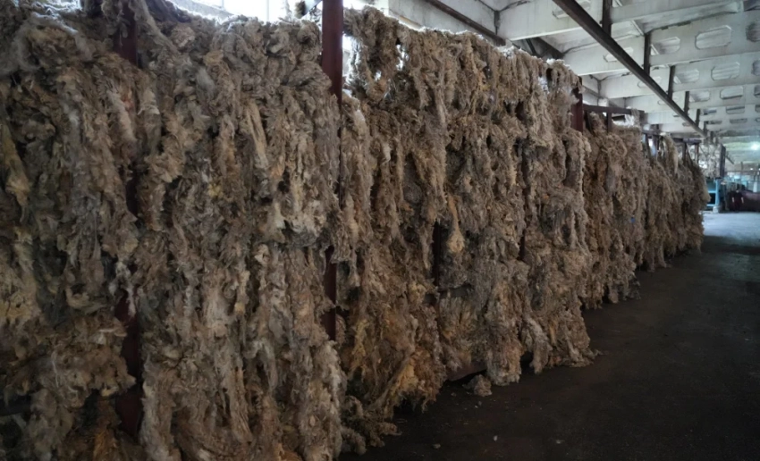 В Кара-Кульджинском районе откроется предприятие по переработке шерсти