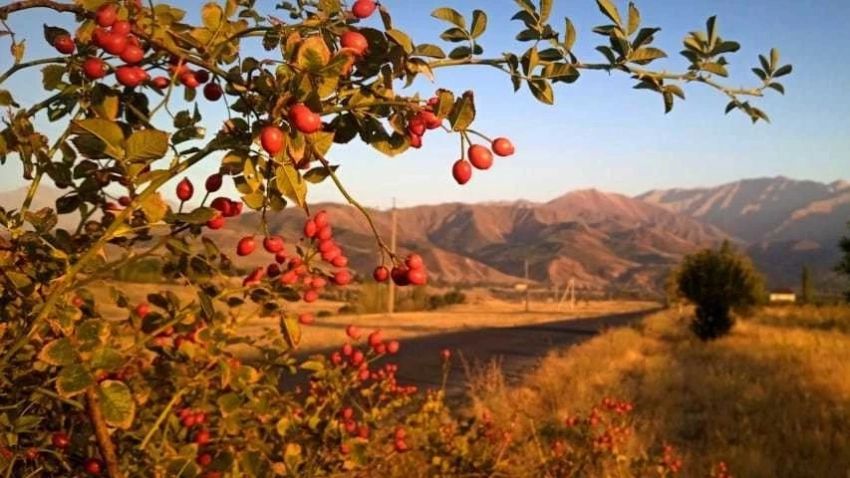 Прогноз погоды по Узбекистану на 16 ноября