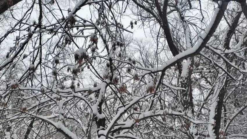 Дожди, снег и гололед ожидаются в Казахстане