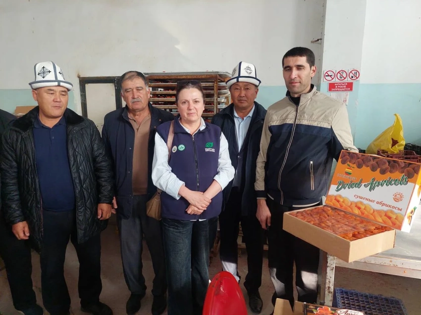 В Кадамжае открыли современный цех по переработке сушеных фруктов