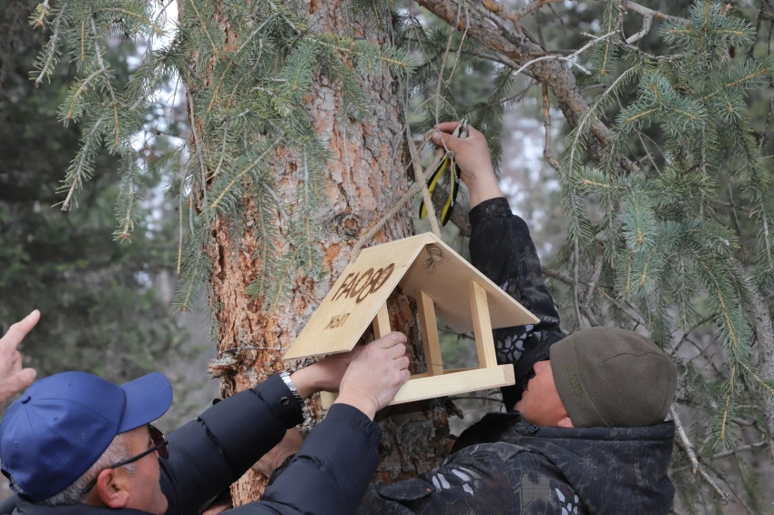 В природном парке «Ала‑Арча» установили экокормушки для птиц