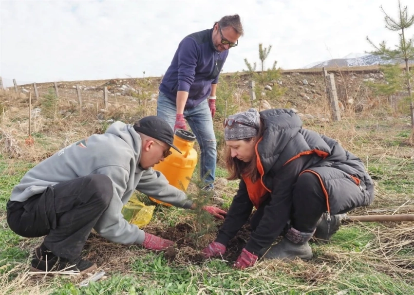 Экологи: пришло время спасать пойменные леса Кыргызстана