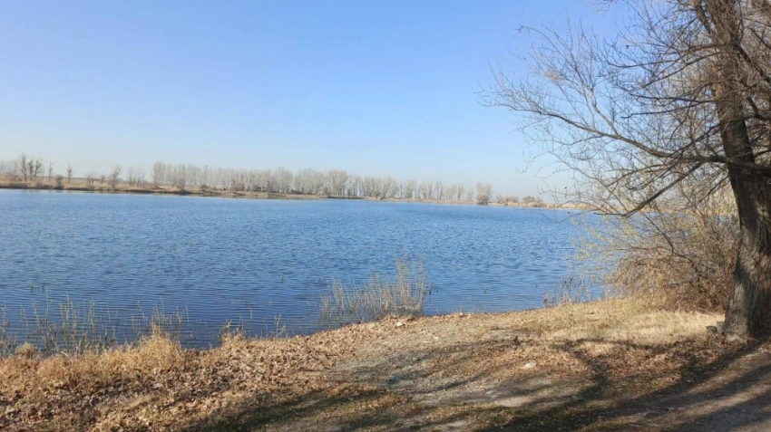 Гибель рыбы в Ысык-Атинском районе. Бизнесмен жалуется на бездействие правоохранителей