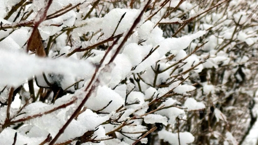 На Казахстан надвигается метель и гололед