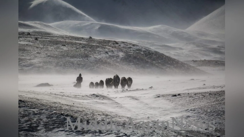 Монголия предупреждает об экстремально холодной погоде