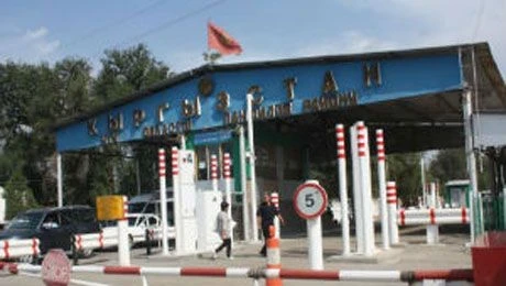 За 11 месяцев в Кыргызстан из-за фитосанитарных нарушений не пропустили более 562 тонн грузов