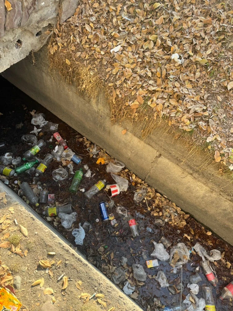 Жители дома на Сухомлинова пожаловались на мусор и драки во дворе