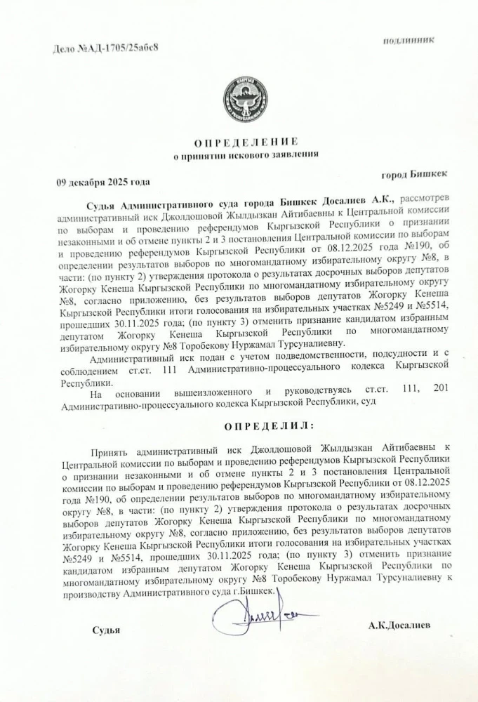 Скандал вокруг округа № 8: суд Бишкека принял иск Джолдошевой к ЦИК